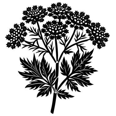 yarrow çiçek illüstrasyon logo vektör tasarımı