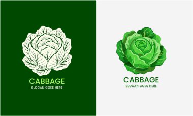 Detailed vector illustration of a cabbage, showcasing layered leaves in a clean style on a white background clipart