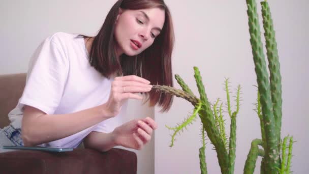 Una Joven Mujer Hermosa Preocupa Por Una Planta Cactus Enferma — Vídeos de Stock