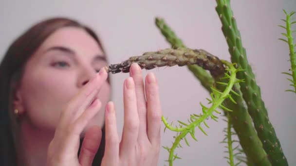Una Giovane Bella Donna Preoccupa Guarda Una Pianta Cactus Malata — Video Stock