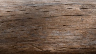 Doğal renk desenli eski çam ağacı gövdesi