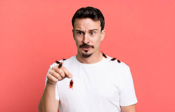 Adult Man Insects Pest Concept — Stock Photo, Image
