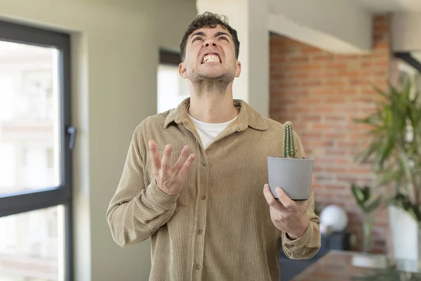 Jonge Knappe Man Schreeuwend Met Handen Lucht Concept Cactusplant — Stockfoto