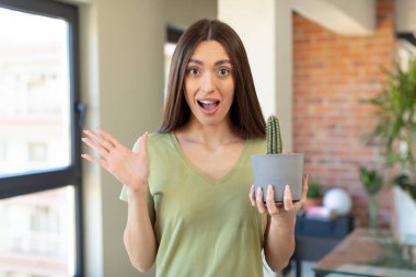 İnanılmaz bir şey karşısında mutlu ve şaşkın hissediyorum. Dekoratif kaktüs bitkisi kavramı