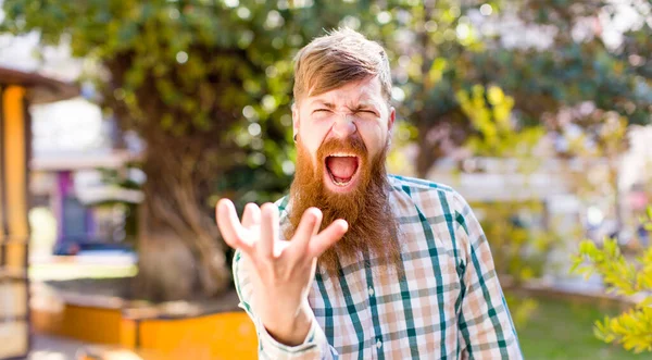 Zrzavé Vlasy Vousatý Muž Vypadá Naštvaný Otrávený Frustrovaný Křičí Wtf — Stock fotografie