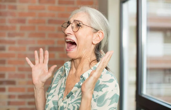 Senior Pretty Woman Feeling Happy Amazed Lucky Surprised Celebrating Victory — Stock Photo, Image