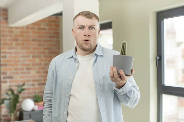 Feeling Extremely Shocked Surprised Cactus Pot Concept — Stock Photo, Image