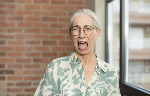 Starsza Ładna Kobieta Wesołą Beztroską Buntowniczą Postawą Żartująca Wystająca Języczkiem — Zdjęcie stockowe