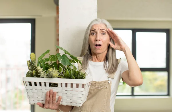 Mooie Oudere Vrouw Die Gelukkig Verbaasd Verrast Uitziet Tuinman Concept — Stockfoto