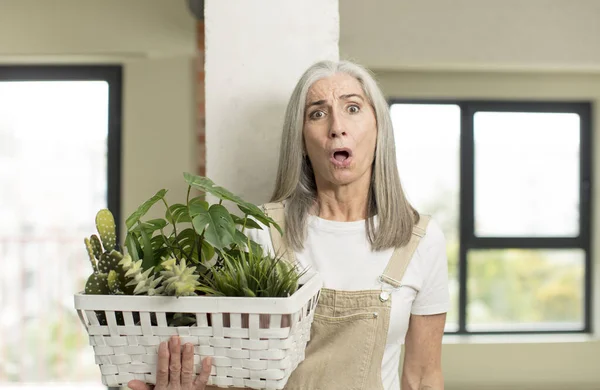 Pretty Senior Woman Feeling Extremely Shocked Surprised Gardener Concept — Stock Photo, Image