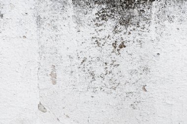 Çimento veya beton doku kopyalama alanı