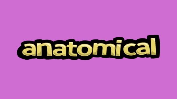 ピンクスクリーンアニメーションビデオ書き込み Anatmical — ストック動画