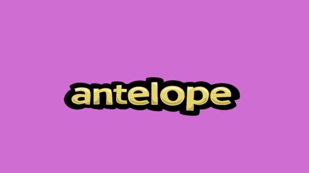 Pink Screen Animation Video Written Antelope — Stock Video