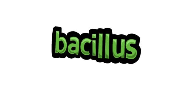 Відео Анімація Білого Екрану Написане Bacillus — стокове відео