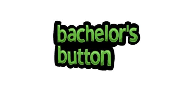Witte Scherm Animatie Video Geschreven Bachelor Button — Stockvideo
