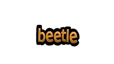 Beyaz ekran animasyon videosu BeeFLE yazıldı