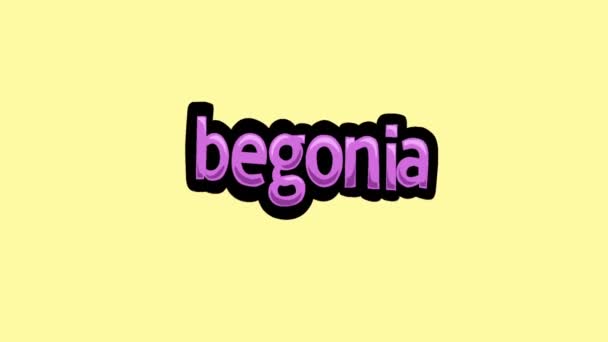 Tela Amarela Animação Vídeo Escrito Begonia — Vídeo de Stock
