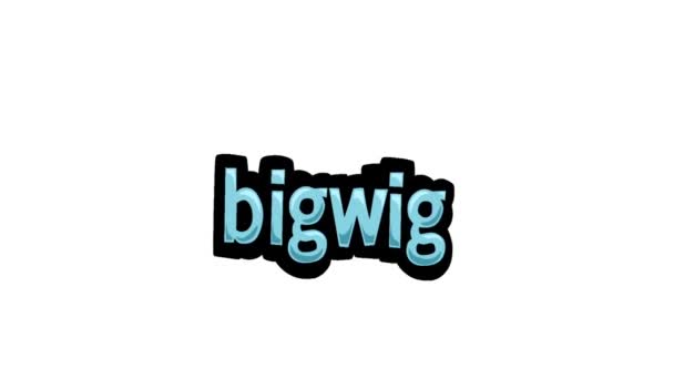 Vit Skärm Animation Video Skriven Bigwig — Stockvideo