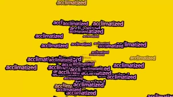 Animated Video Scattered Words Acclimatized Yellow Background — Stock Video