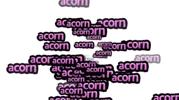 动画视频在白色背景上散落有 Acorn — 图库视频影像