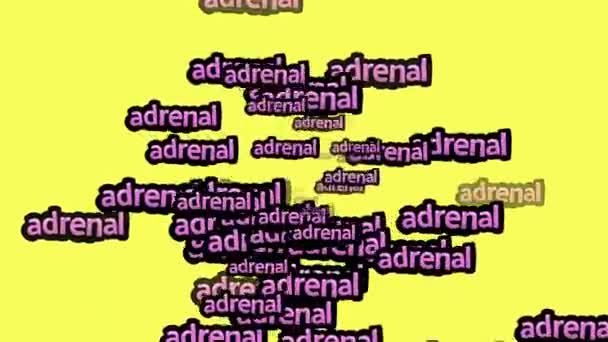 Анимированное Видео Разбросанное Словами Adrenal Желтом Фоне — стоковое видео