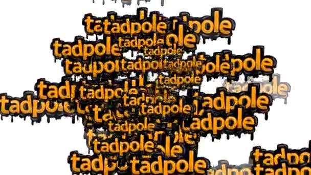 Video Animat Împrăștiat Cuvintele Tadpole Fundal Alb — Videoclip de stoc