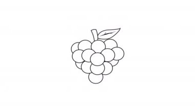 Üzüm şekli çizimlerinin canlandırılmış videosu