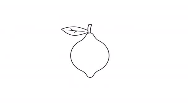 Анімаційне Відео Ескізу Лимонної Форми — стокове відео