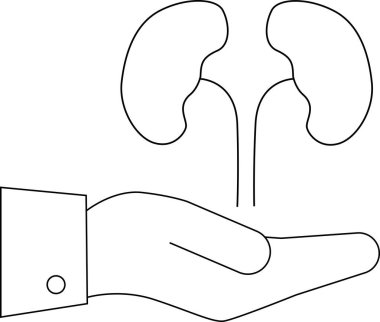 line icon of a hand carrying a kidney icon.with a white background