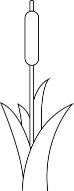 Sivri yeşil yaprakların arasında, uzun kahverengi tohum başlıklı, siyah çizgilerle ana hatları çizilmiş bir boğa.