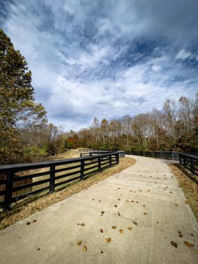 Parktaki patika düşen sonbahar yapraklarıyla kaplı.