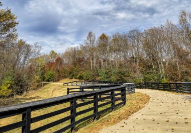 Sonbahar yapraklarıyla kaplı bir parkta yürüme yolu.