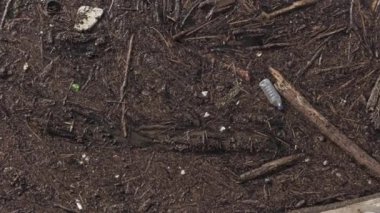 A texture of wet, chopped wood