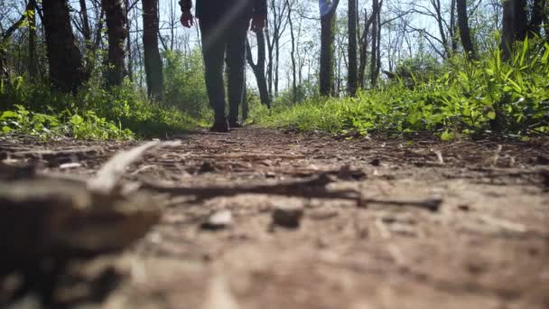 ケンタッキー州レキシントンのベテランの公園で非常に低いハイキングトレイルの視点 カメラの前を歩いて道を進む人じゃない — ストック動画