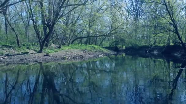 Tirando Hacia Atrás Sobre Río Tranquilo Que Fluye Parque Veteranos — Vídeos de Stock