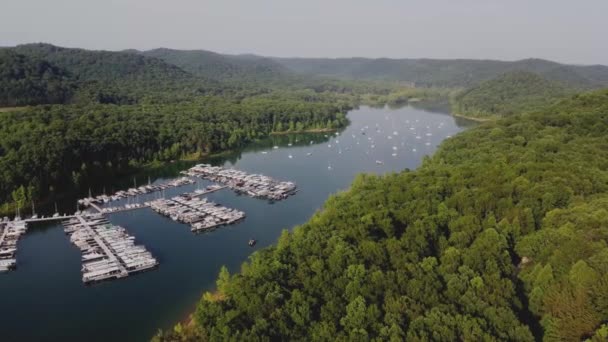 森に囲まれた湖のマリーナでのレクリエーションボートやヨット — ストック動画