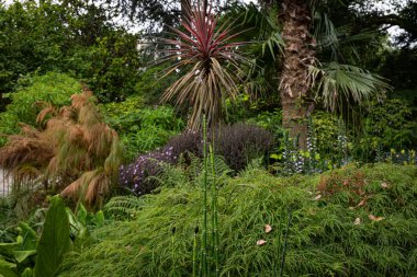 Parktaki bahçenin güzel manzarası.