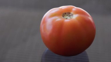 kırmızı domates yakın çekim