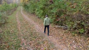 insan sonbahar ormanda yürüyor.