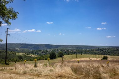 Ağaçlar ve mavi gökyüzü olan güzel bir manzara.
