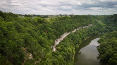 Yaz ormanındaki nehrin havadan görünüşü