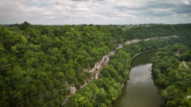 Nehrin ormandaki hava aracı görüntüsü.