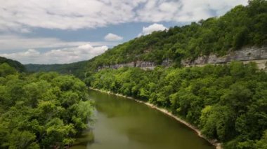 Ormandaki bir nehrin havadan görünüşü