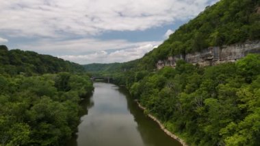 Güzel nehir ve orman.