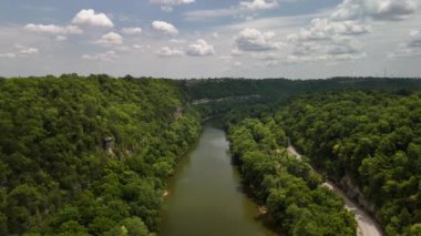 Ormandaki nehrin güzel manzarası