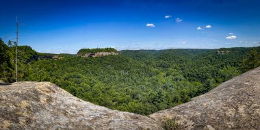 Kentucky 'nin merkezinde Kızıl Nehir Vadisi adı verilen orman ve kaya oluşumlarının manzarası