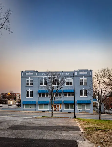 Yerel hükümet binasının önündeki çıplak ağaç.