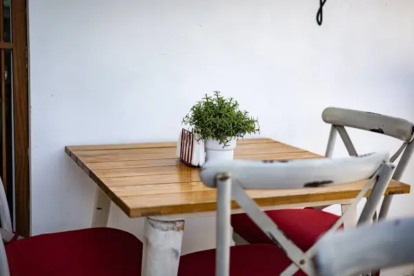 Kafede beyaz sandalyeli ve yeşil çiçekli bir masanın dikey yakın çekimi.