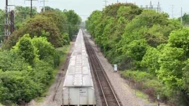 Ormanda tren ve demiryolları