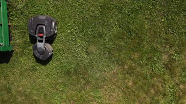 Sahada yeşil çimenler. hava görünümü.